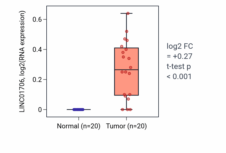 Tumor-vs-normal expression box plot for LINC01706 in KIRC.