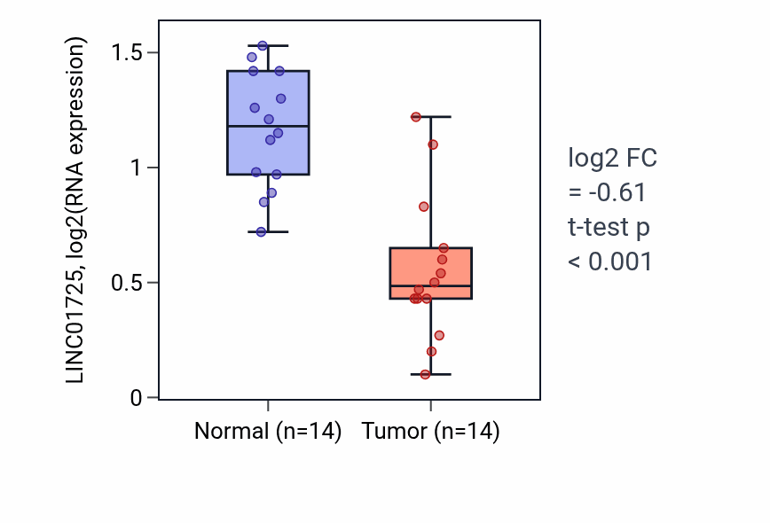 Tumor-vs-normal expression box plot for LINC01725 RNA in THCA.