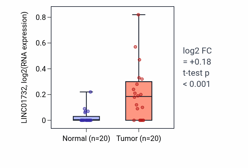 Tumor-vs-normal expression box plot for LINC01732 in KIRC.