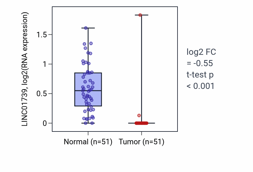 Tumor-vs-normal expression box plot for LINC01739 in KIRC.