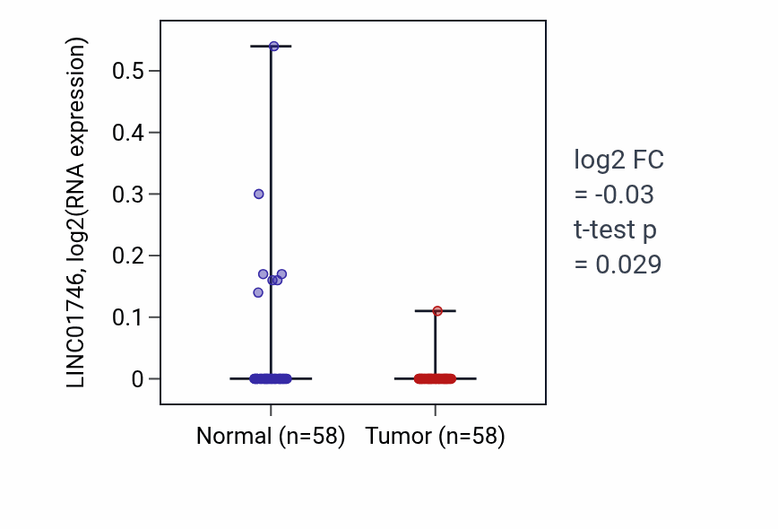 Tumor-vs-normal expression box plot for LINC01746 in THCA.