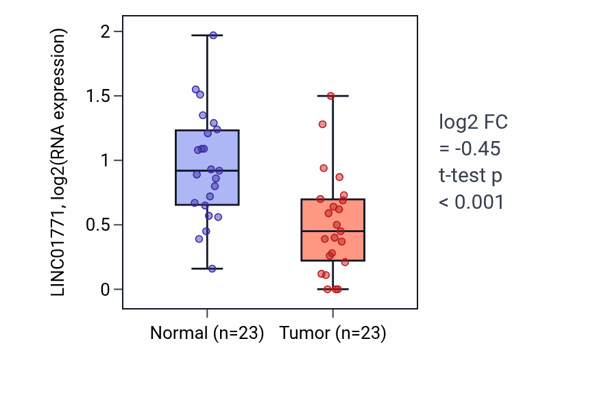 Tumor-vs-normal expression box plot for LINC01771 in THCA.