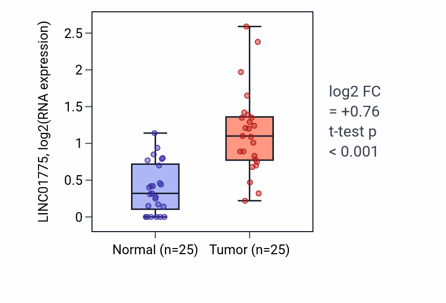Tumor-vs-normal expression box plot for LINC01775 in HNSC.