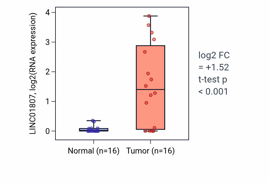 Tumor-vs-normal expression box plot for LINC01807 in HNSC.