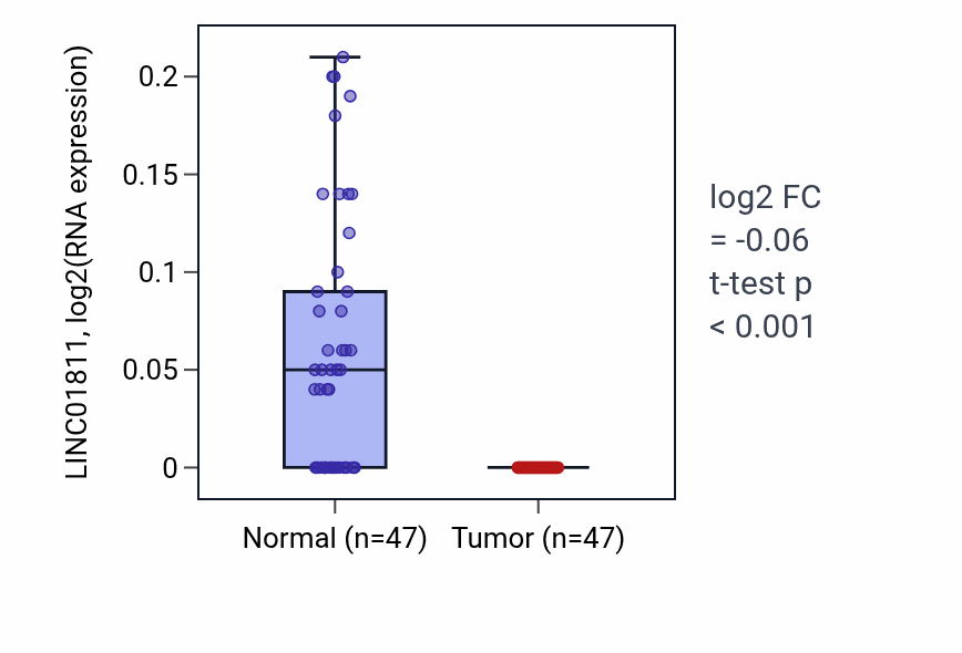 Tumor-vs-normal expression box plot for LINC01811 in KIRC.