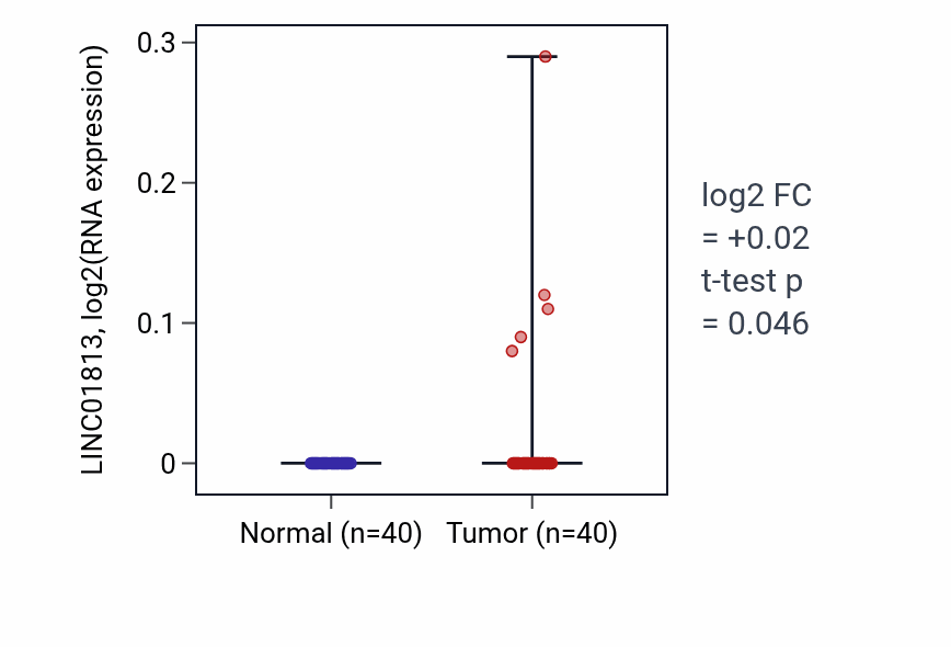 Tumor-vs-normal expression box plot for LINC01813 in HNSC.