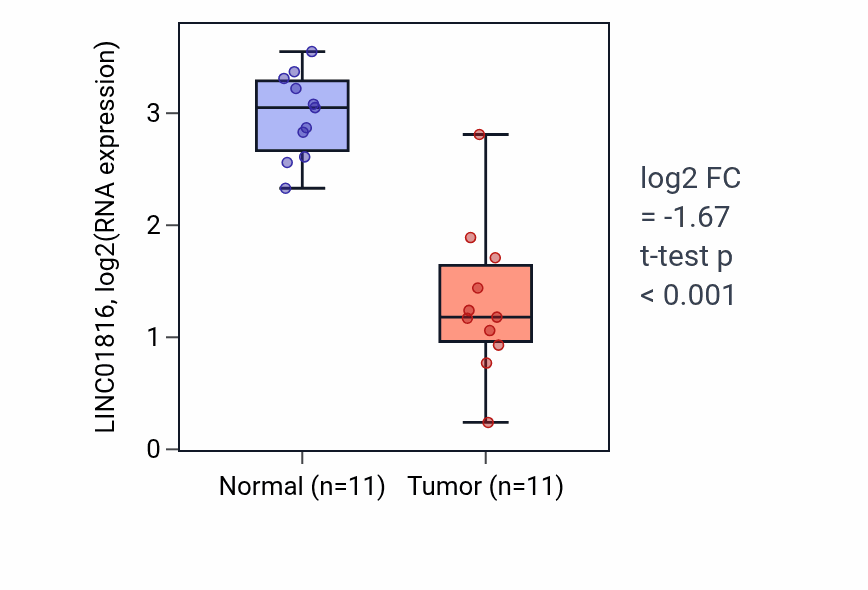 Tumor-vs-normal expression box plot for LINC01816 RNA in KICH.