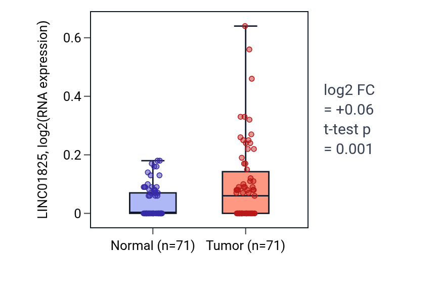 Tumor-vs-normal expression box plot for LINC01825 in KIRC.