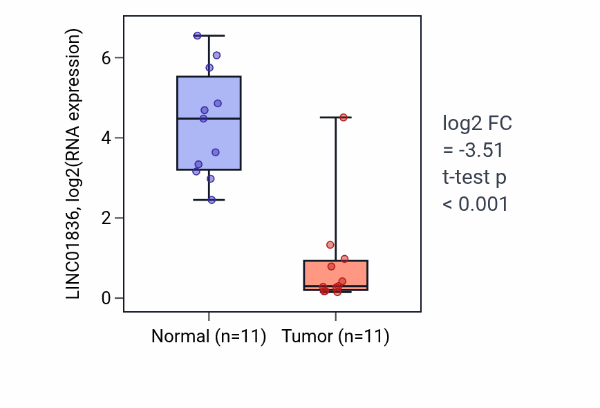 Tumor-vs-normal expression box plot for LINC01836 RNA in KICH.
