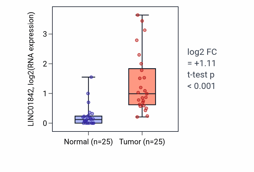 Tumor-vs-normal expression box plot for LINC01842 in HNSC.