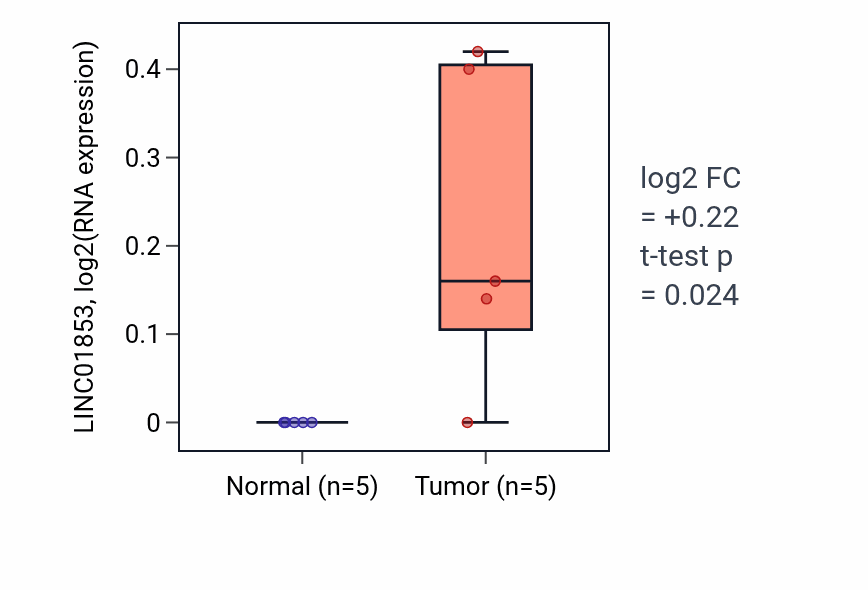 Tumor-vs-normal expression box plot for LINC01853 in KIRP.