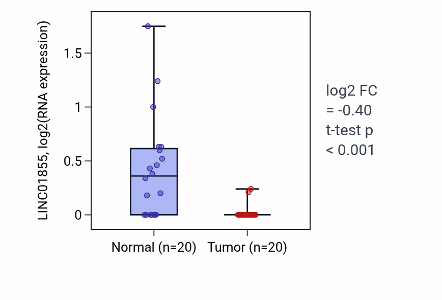 Tumor-vs-normal expression box plot for LINC01855 in COAD.