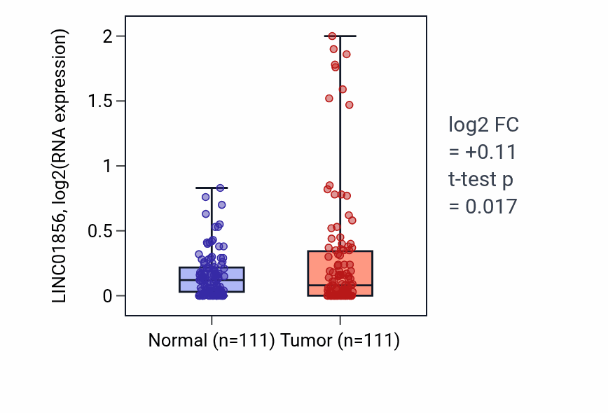 Tumor-vs-normal expression box plot for LINC01856 RNA in BRCA.
