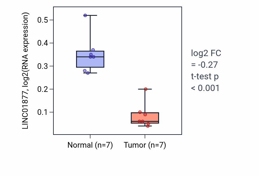Tumor-vs-normal expression box plot for LINC01877 RNA in THCA.