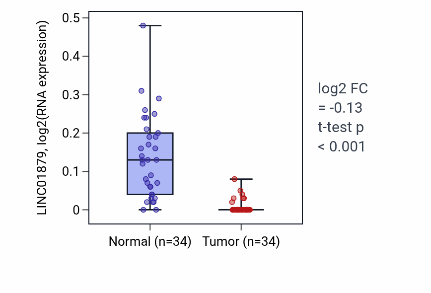 Tumor-vs-normal expression box plot for LINC01879 RNA in KIRC.