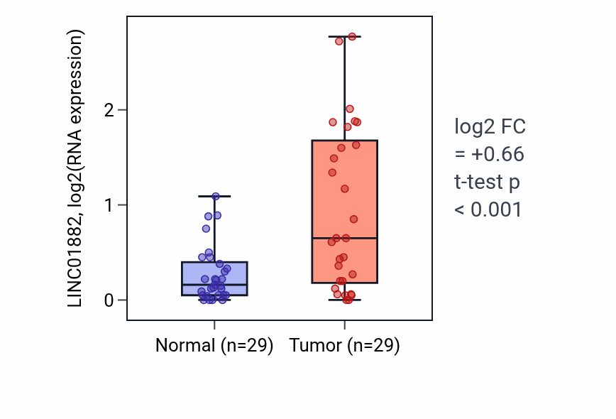 Tumor-vs-normal expression box plot for LINC01882 in HNSC.