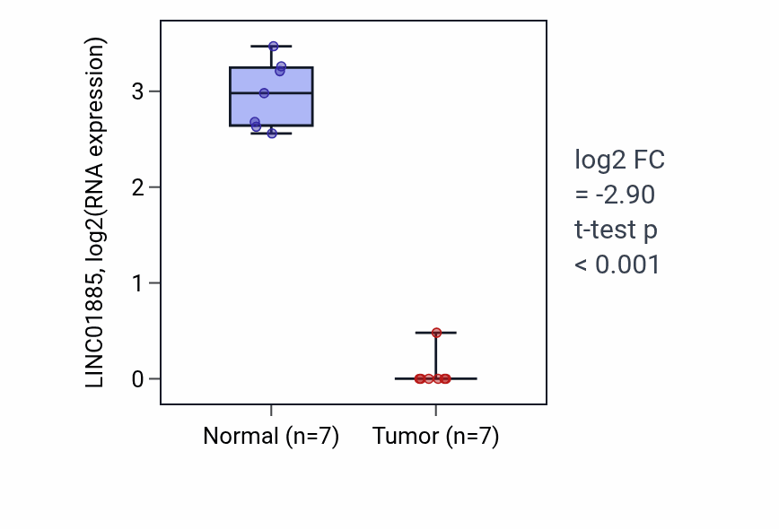Tumor-vs-normal expression box plot for LINC01885 RNA in THCA.