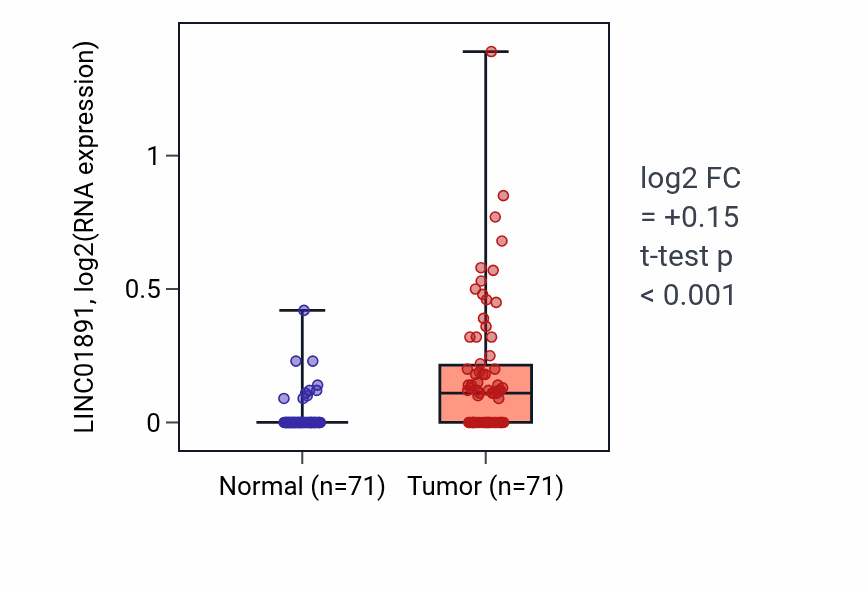 Tumor-vs-normal expression box plot for LINC01891 in KIRC.