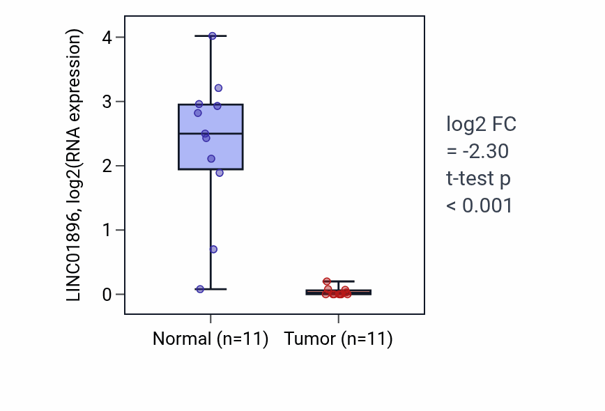 Tumor-vs-normal expression box plot for LINC01896 in KIRP.