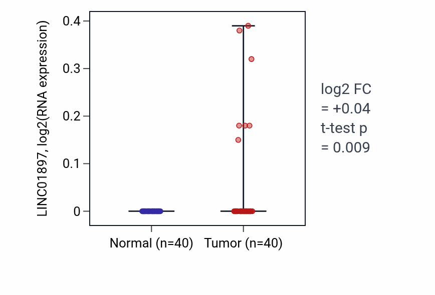 Tumor-vs-normal expression box plot for LINC01897 RNA in HNSC.
