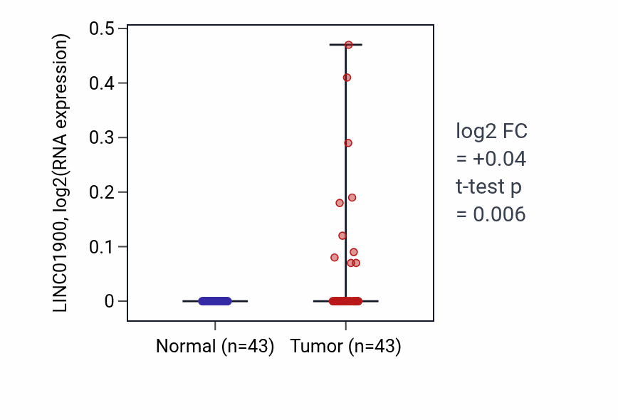 Tumor-vs-normal expression box plot for LINC01900 in HNSC.