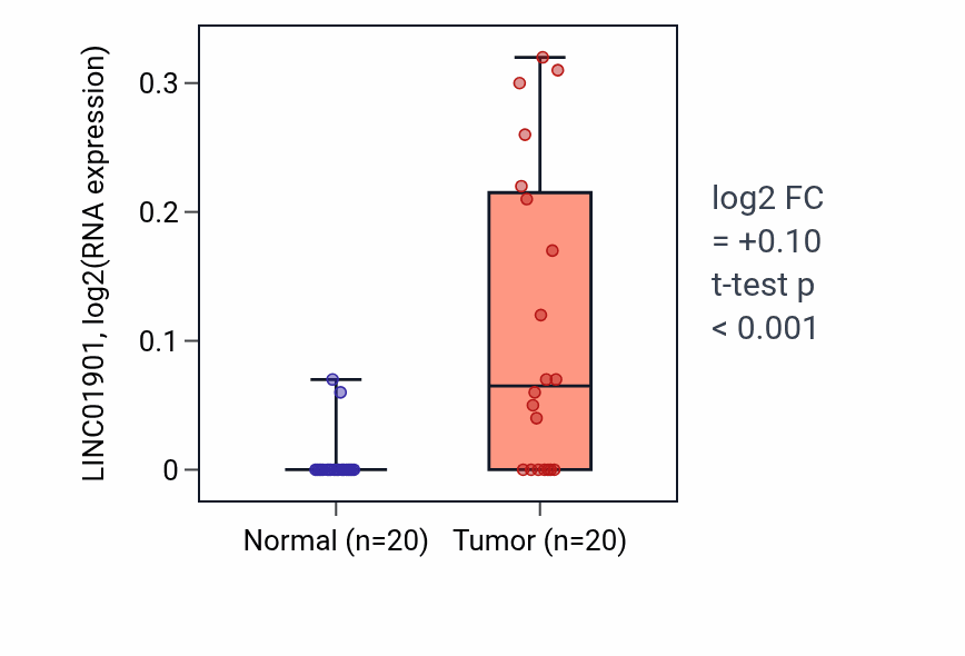 Tumor-vs-normal expression box plot for LINC01901 in KIRC.