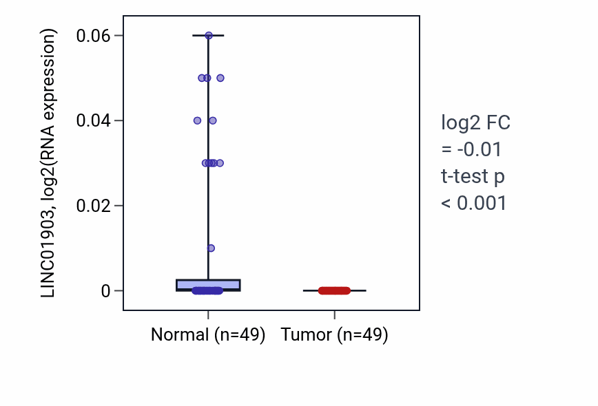 Tumor-vs-normal expression box plot for LINC01903 in LUSC.