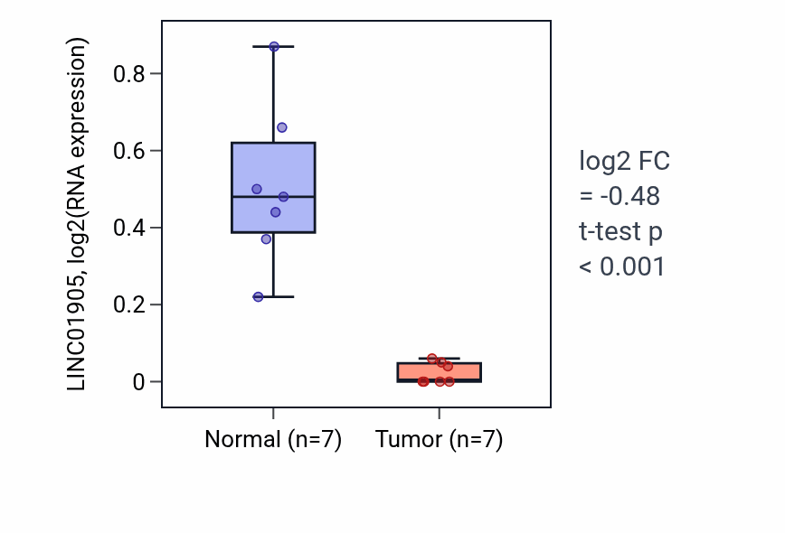 Tumor-vs-normal expression box plot for LINC01905 in THCA.