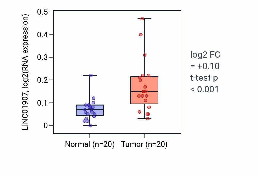 Tumor-vs-normal expression box plot for LINC01907 in KIRC.