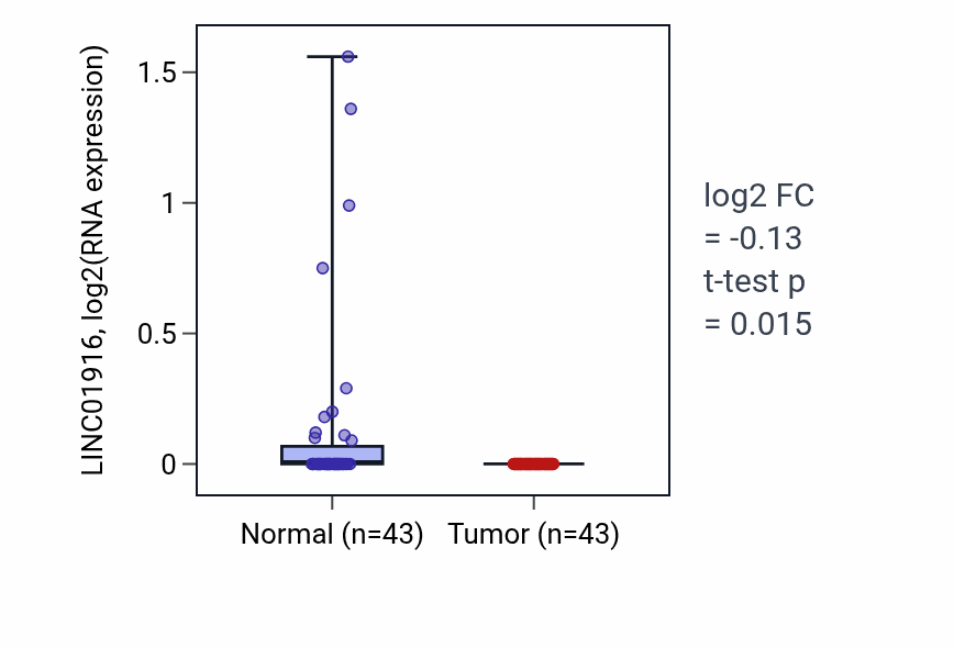 Tumor-vs-normal expression box plot for LINC01916 in HNSC.