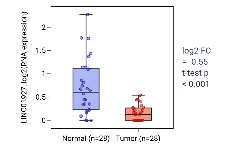 Tumor-vs-normal expression box plot for LINC01927 RNA in LUAD.