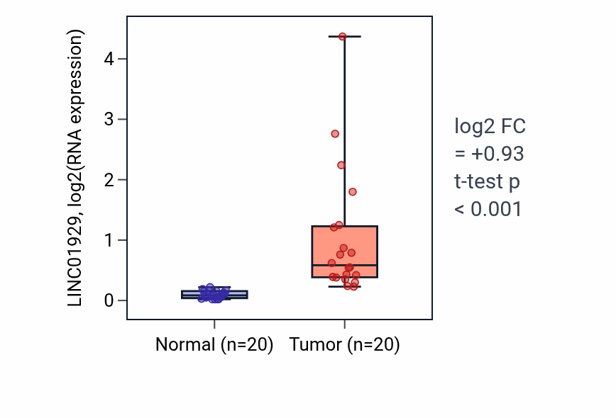 Tumor-vs-normal expression box plot for LINC01929 in KIRC.