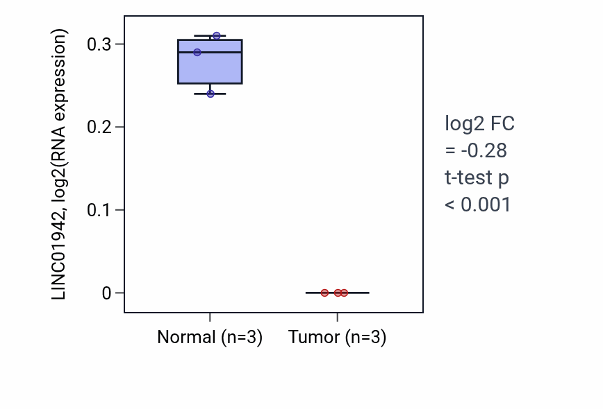 Tumor-vs-normal expression box plot for LINC01942 RNA in THCA.