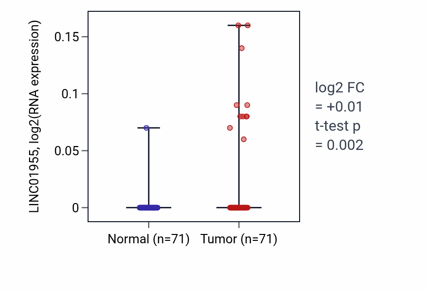 Tumor-vs-normal expression box plot for LINC01955 in KIRC.