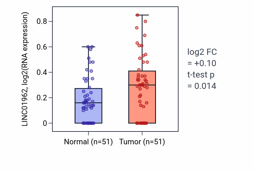 Tumor-vs-normal expression box plot for LINC01962 in KIRC.