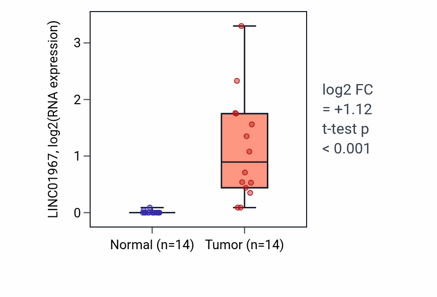 Tumor-vs-normal expression box plot for LINC01967 in LUSC.