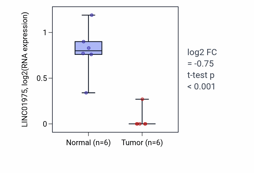 Tumor-vs-normal expression box plot for LINC01975 in KIRC.