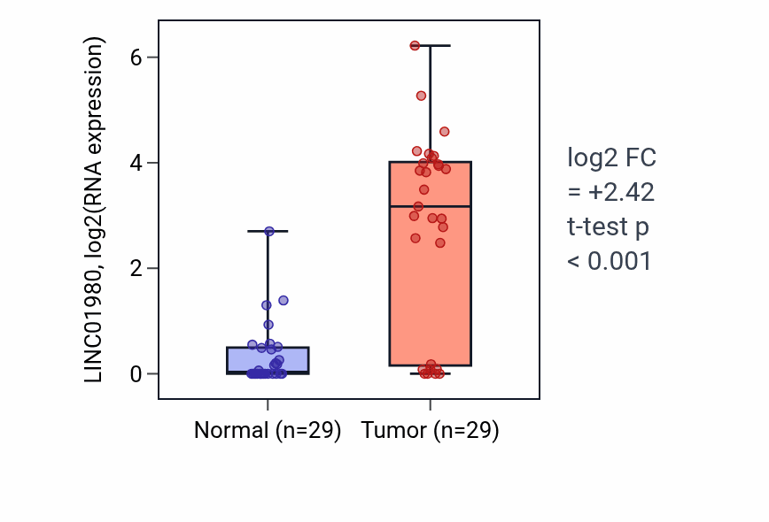 Tumor-vs-normal expression box plot for LINC01980 in HNSC.