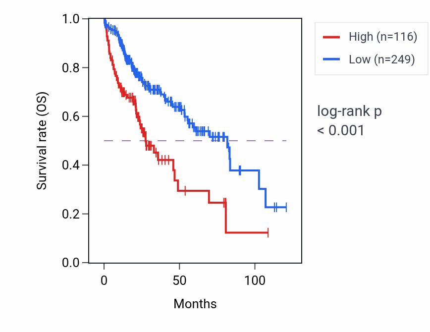 Kaplan&ndash;Meier survival curve for LINC02003 RNA expression in LIHC: high vs low expression groups.