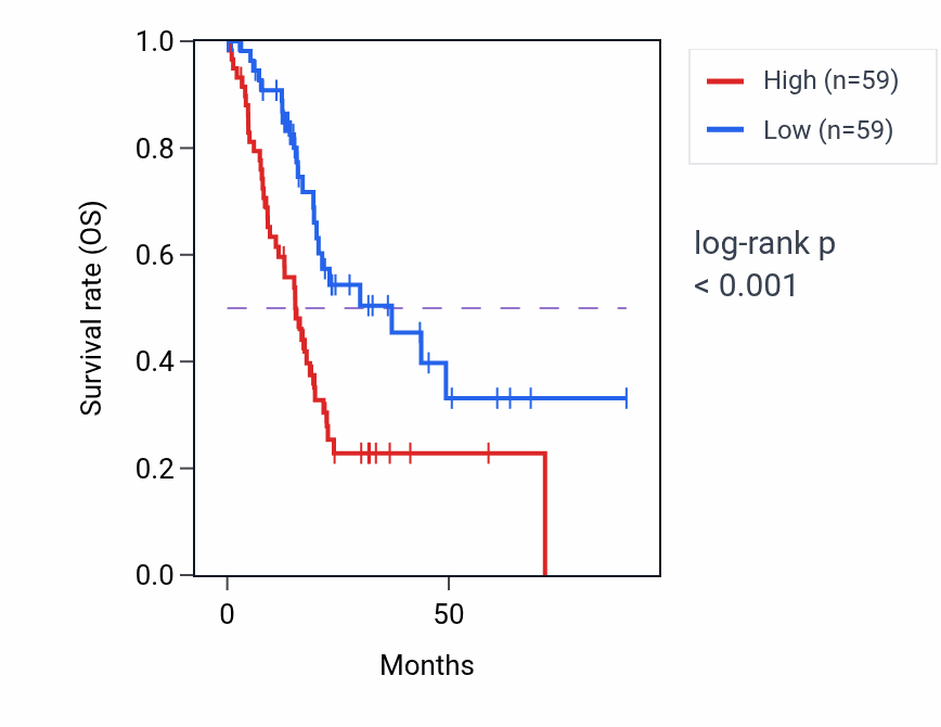 Kaplan&ndash;Meier survival curve for LINC02004 RNA expression in PAAD: high vs low expression groups.