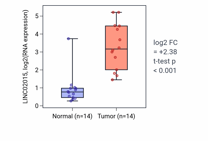 Tumor-vs-normal expression box plot for LINC02015 in KIRC.