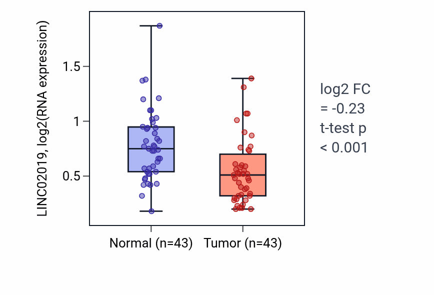 Tumor-vs-normal expression box plot for LINC02019 RNA in HNSC.