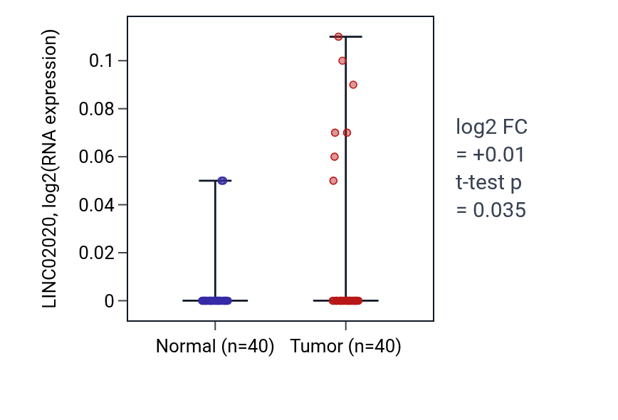 Tumor-vs-normal expression box plot for LINC02020 in HNSC.