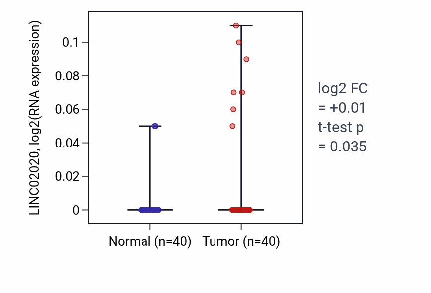 Tumor-vs-normal expression box plot for LINC02020 RNA in HNSC.