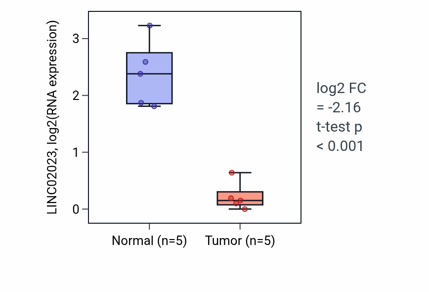 Tumor-vs-normal expression box plot for LINC02023 in COAD.