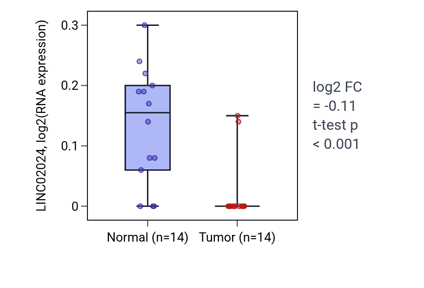 Tumor-vs-normal expression box plot for LINC02024 in LUSC.
