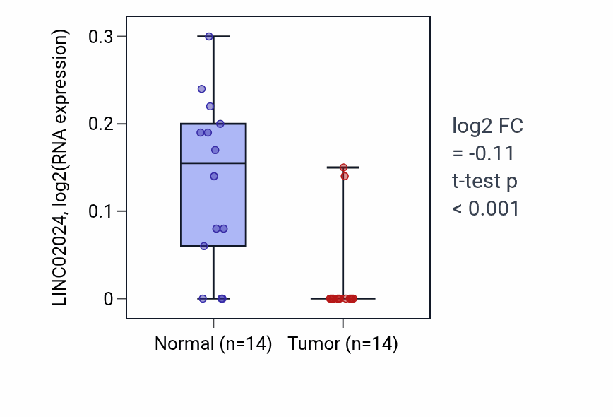 Tumor-vs-normal expression box plot for LINC02024 RNA in LUSC.