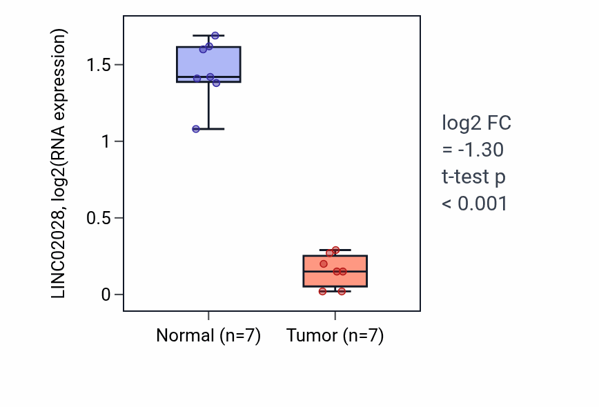 Tumor-vs-normal expression box plot for LINC02028 RNA in THCA.