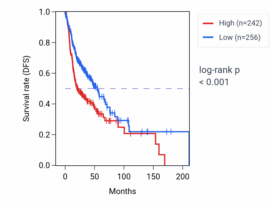 Kaplan&ndash;Meier survival curve for LINC02029 RNA expression in HNSC: high vs low expression groups.