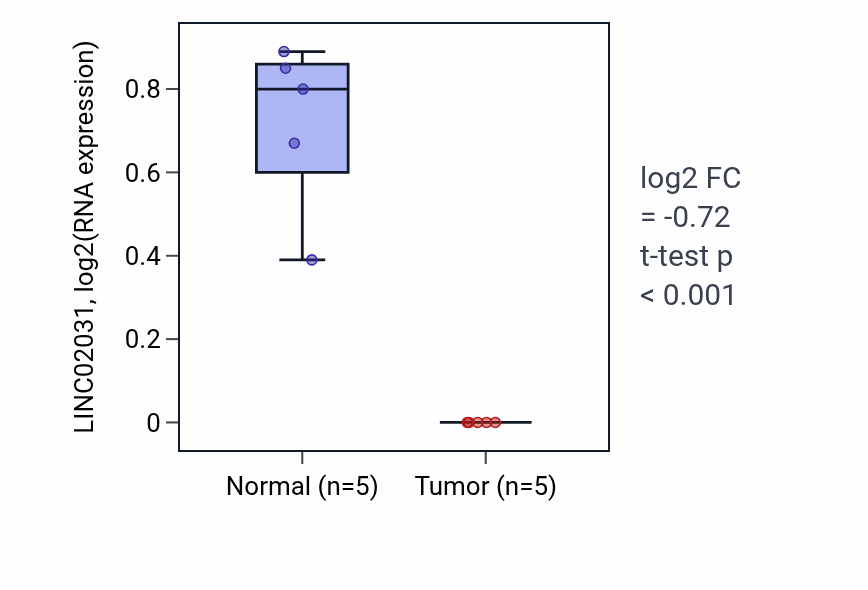 Tumor-vs-normal expression box plot for LINC02031 RNA in COAD.